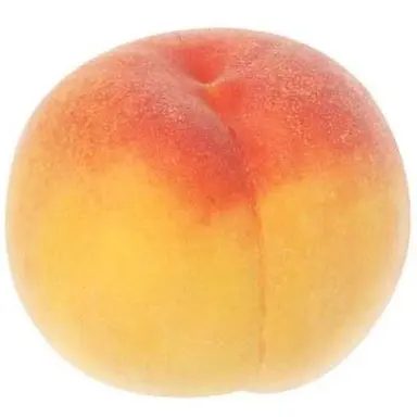 Profile image of 지헌