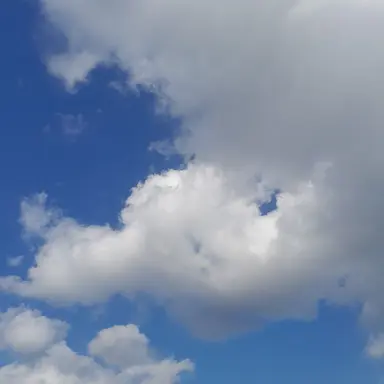 Profile image of 정시훈