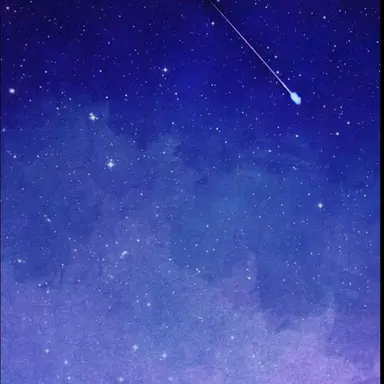 Profile image of 유기사