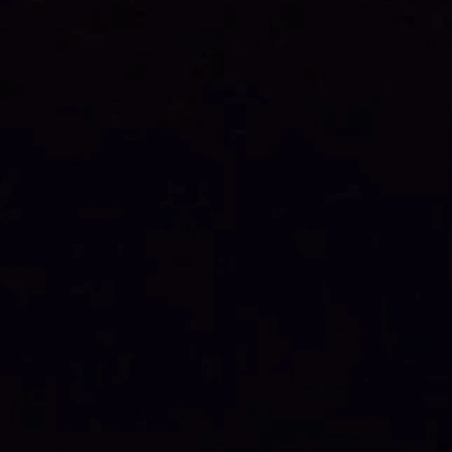 범규
