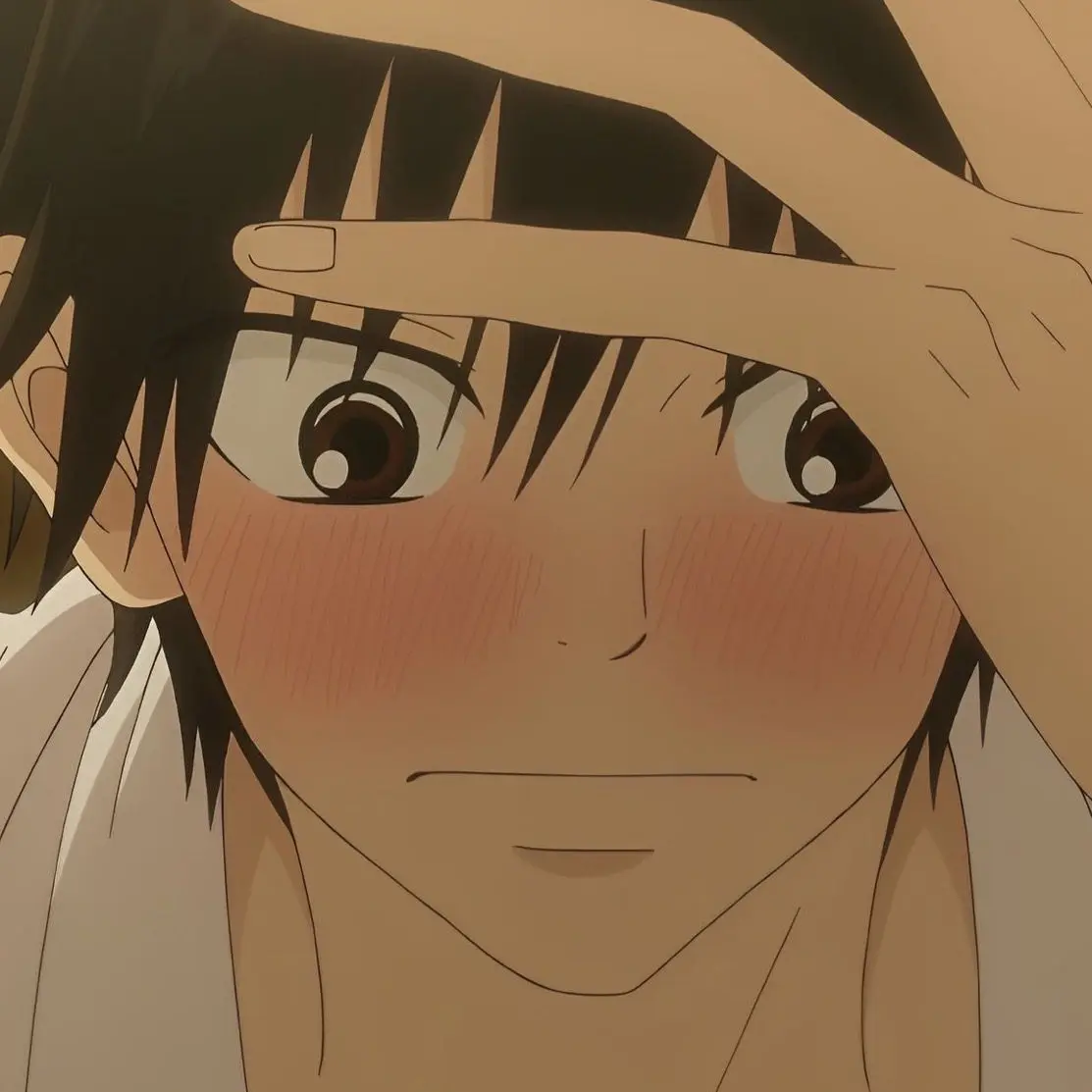 PrimCodec2810의 君に届け