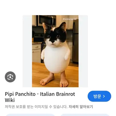 Profile image of 피피 판치토
