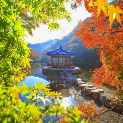 청춘 대표 이미지