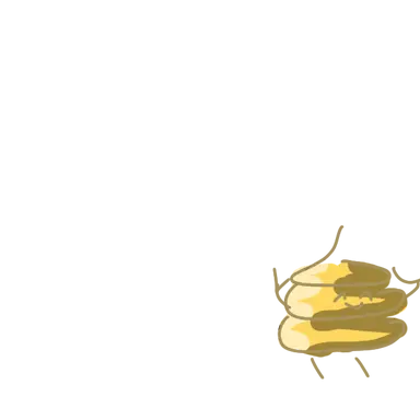 Profile image of ギョン
