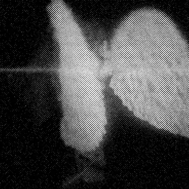Profile image of ㅤ