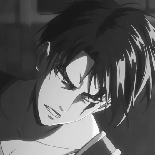 FreshRival0233의 Levi Ackerman