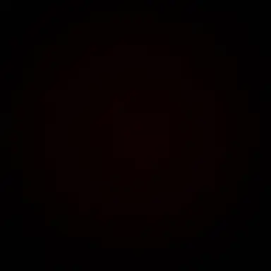 Profile image of 정이안