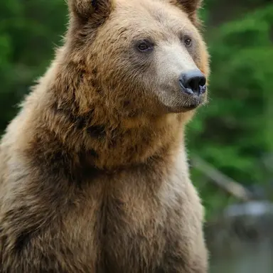 Profile image of 웅건