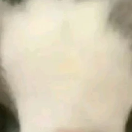 ルキア