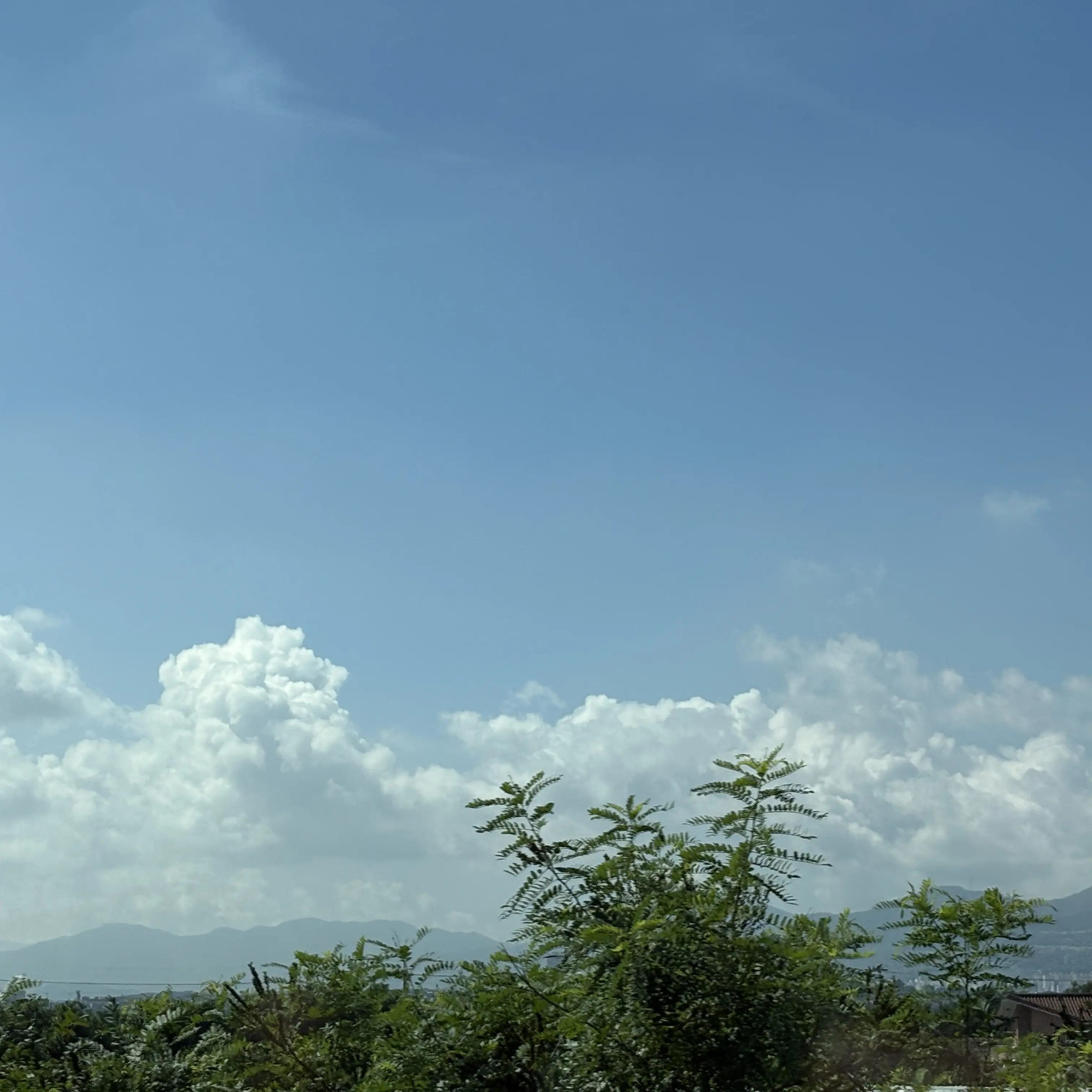 WoodyRipe5352의 도련님의 플러팅