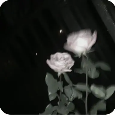 Profile image of テヨン