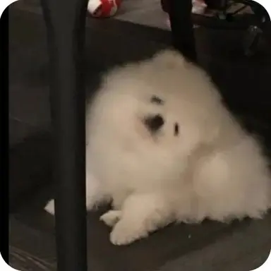 Profile image of ジョンウ