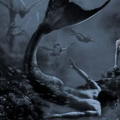Profile image of The siren