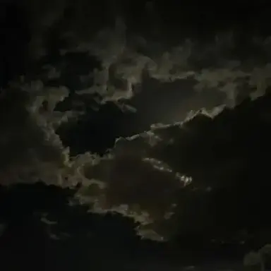 Profile image of School field trip