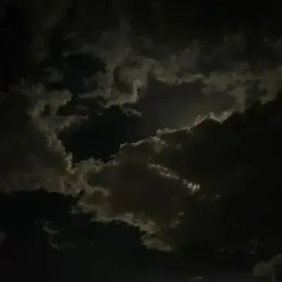 FustyCopy8038의 School field trip