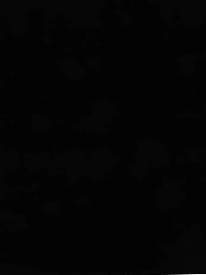 amptak_reviver의 自分用