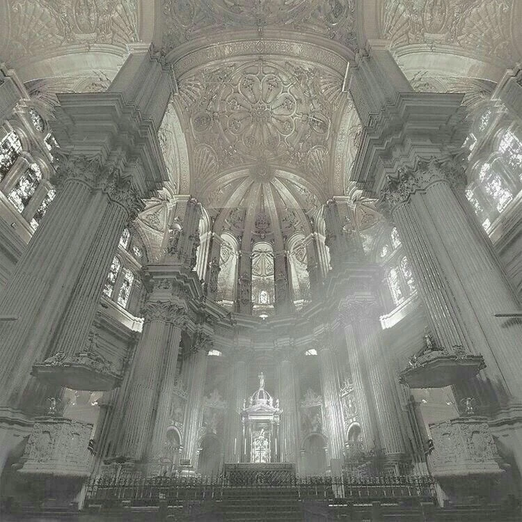 설묘 세상