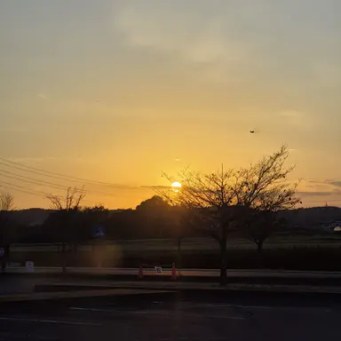 Profile image of バチキン