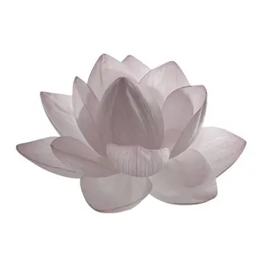 Profile image of 연하