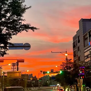 Profile image of 코마