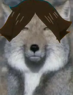 Profile image of 스나 린타로