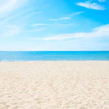 Profile image of カラフルピーチ男子組