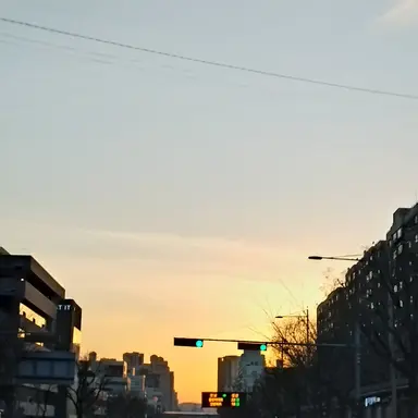 Profile image of 스코시즘