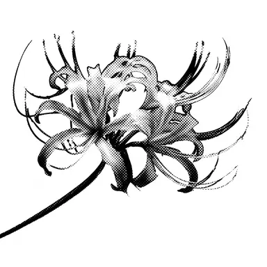 Profile image of Kai