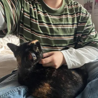 Profile image of Asher