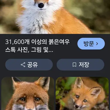 Profile image of 여우