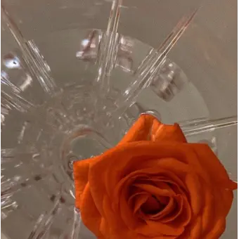 Profile image of 여우