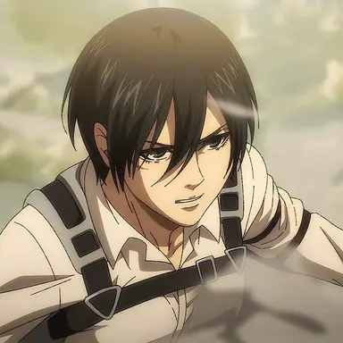 Profile image of 미카사