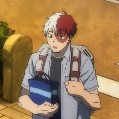Profile image of Shoto Todoroki