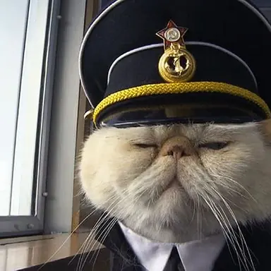 Profile image of 현이머