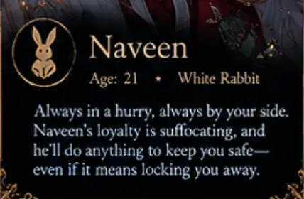 Profile image of Naveen