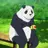 パンダ