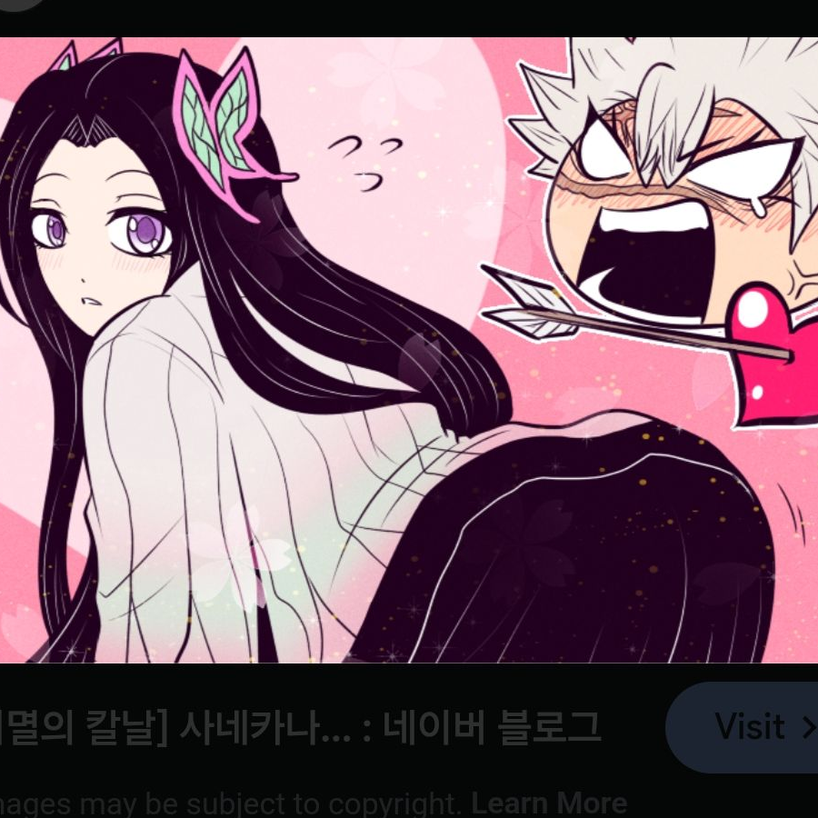 사네카나 대표 이미지