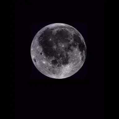 Profile image of キメツ学園