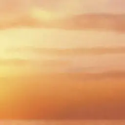 Profile image of 煌