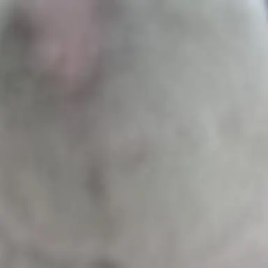 Profile image of 끝말잇기 신