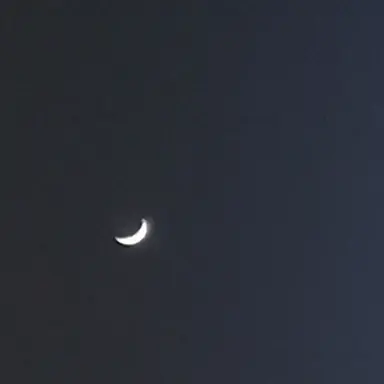 Profile image of 유닛1