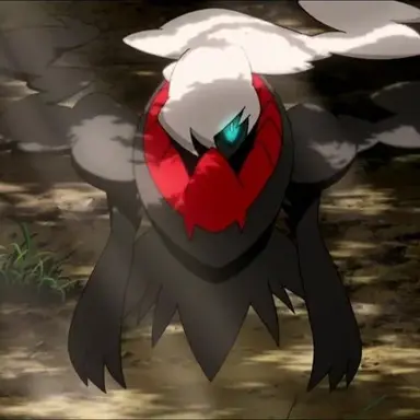 Profile image of 다크라이