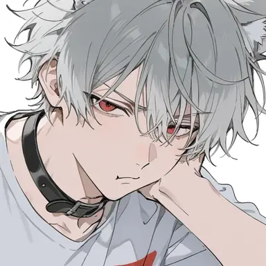 Profile image of カイ