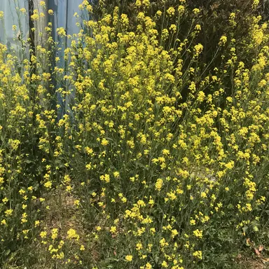 Profile image of 지웅