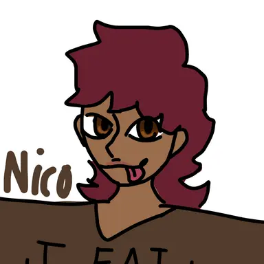 Profile image of Nico