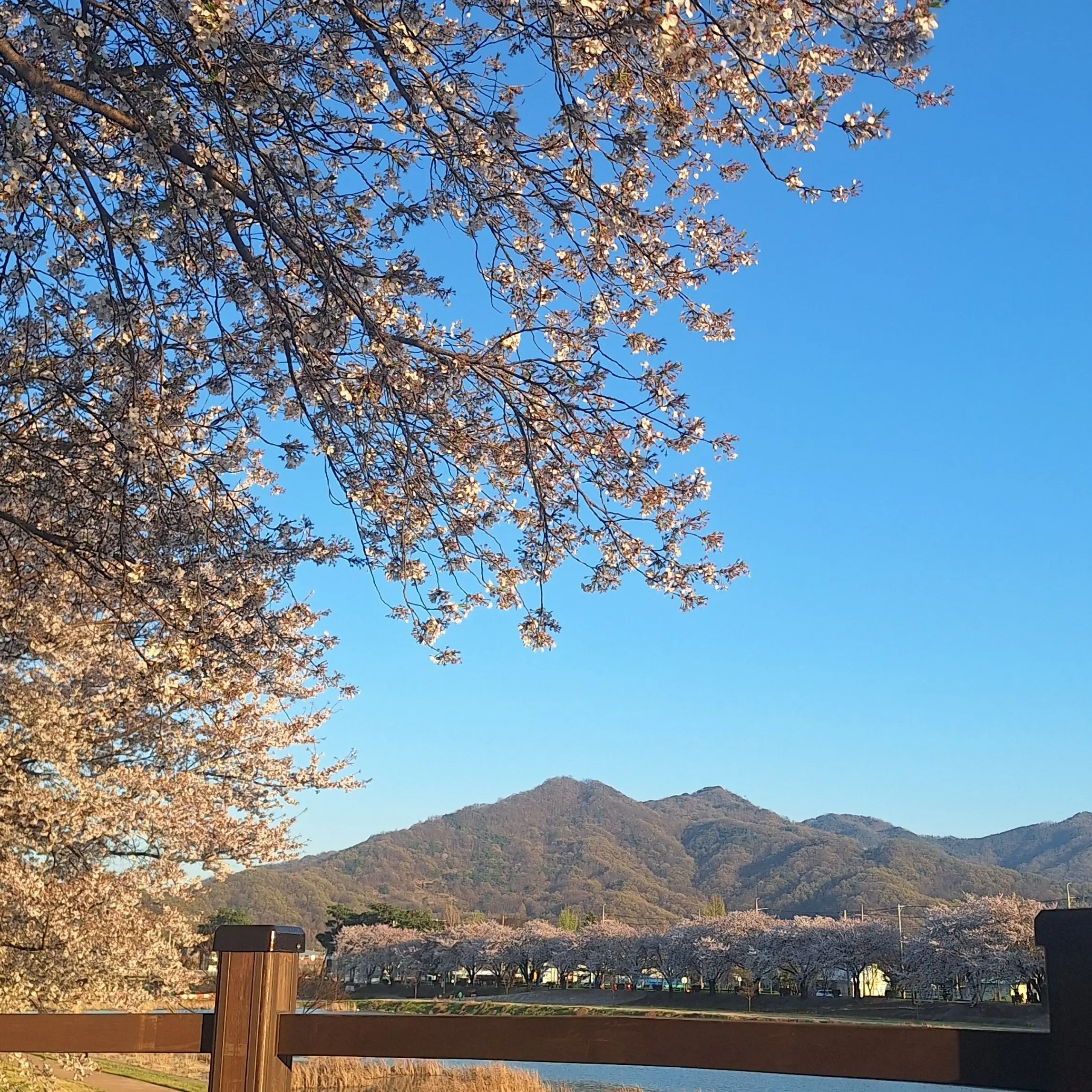 LaxestMoney1876의 연시은