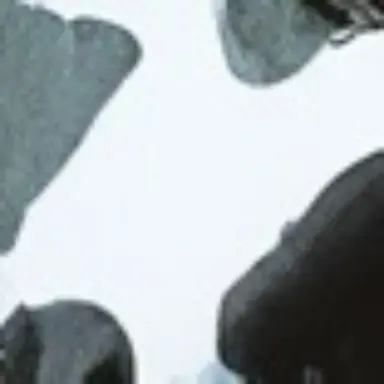 Profile image of 雌牛ちゃん