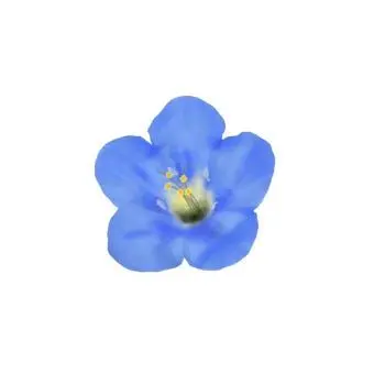 Profile image of Sleepground