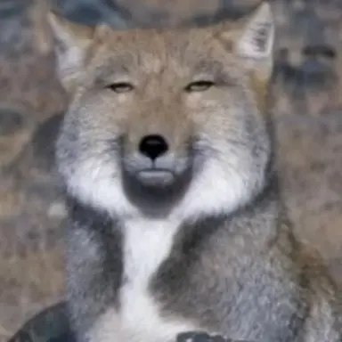 Profile image of 늑대