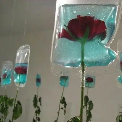 Zoan_의 Inside